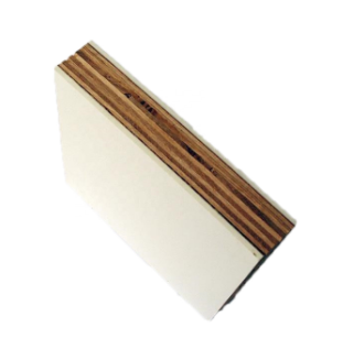 Plywood Sandwichpaneel